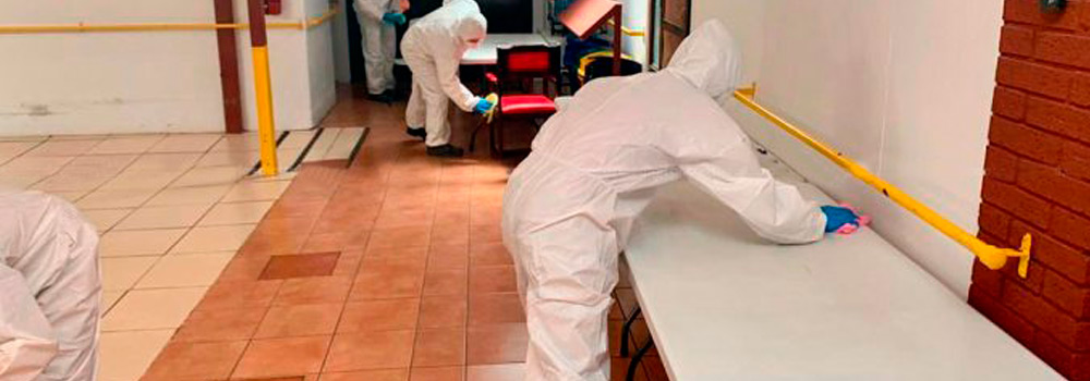 Sanitizacion