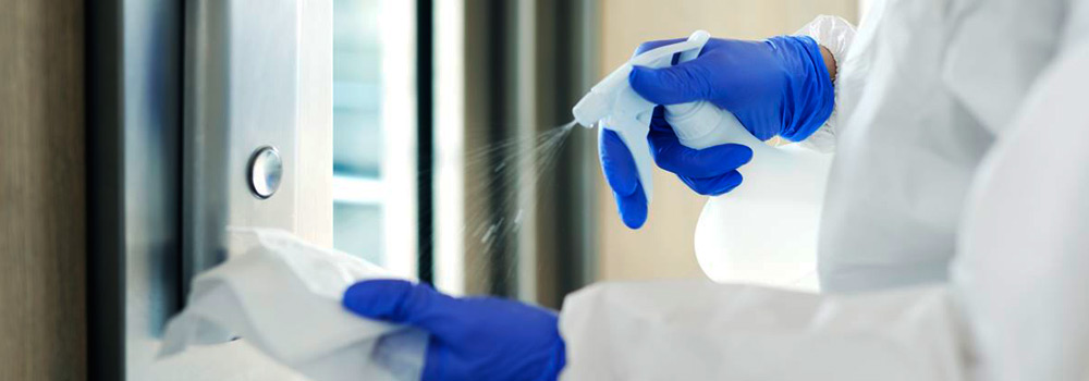 Sanitizacion